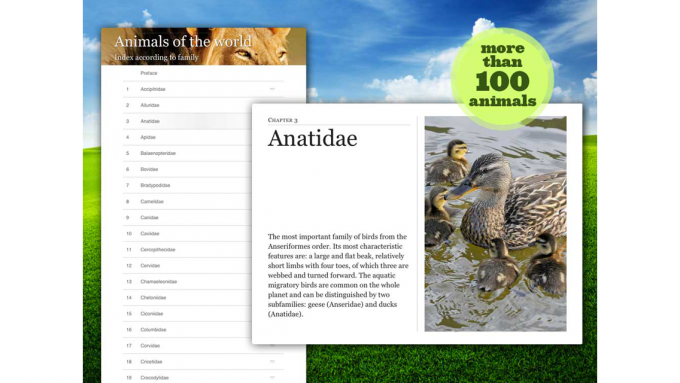 Animals of the World Animals of the World