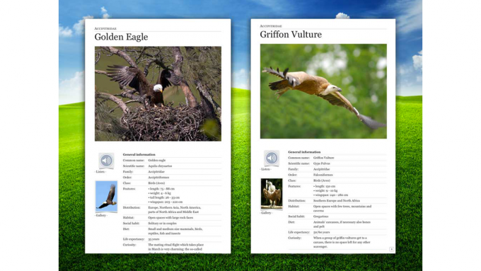 Animals of the World Animals of the World