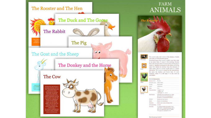 Farm Animals Farm Animals