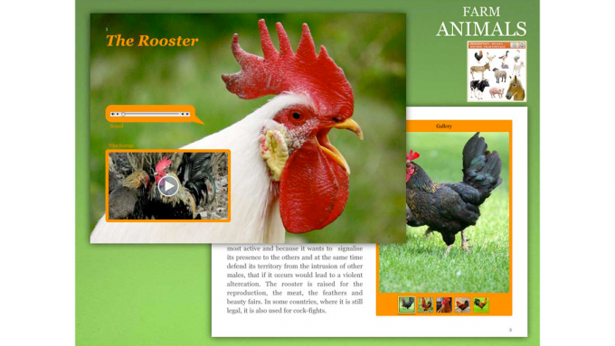 Farm Animals Farm Animals