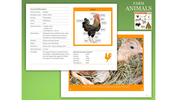 Farm Animals Farm Animals